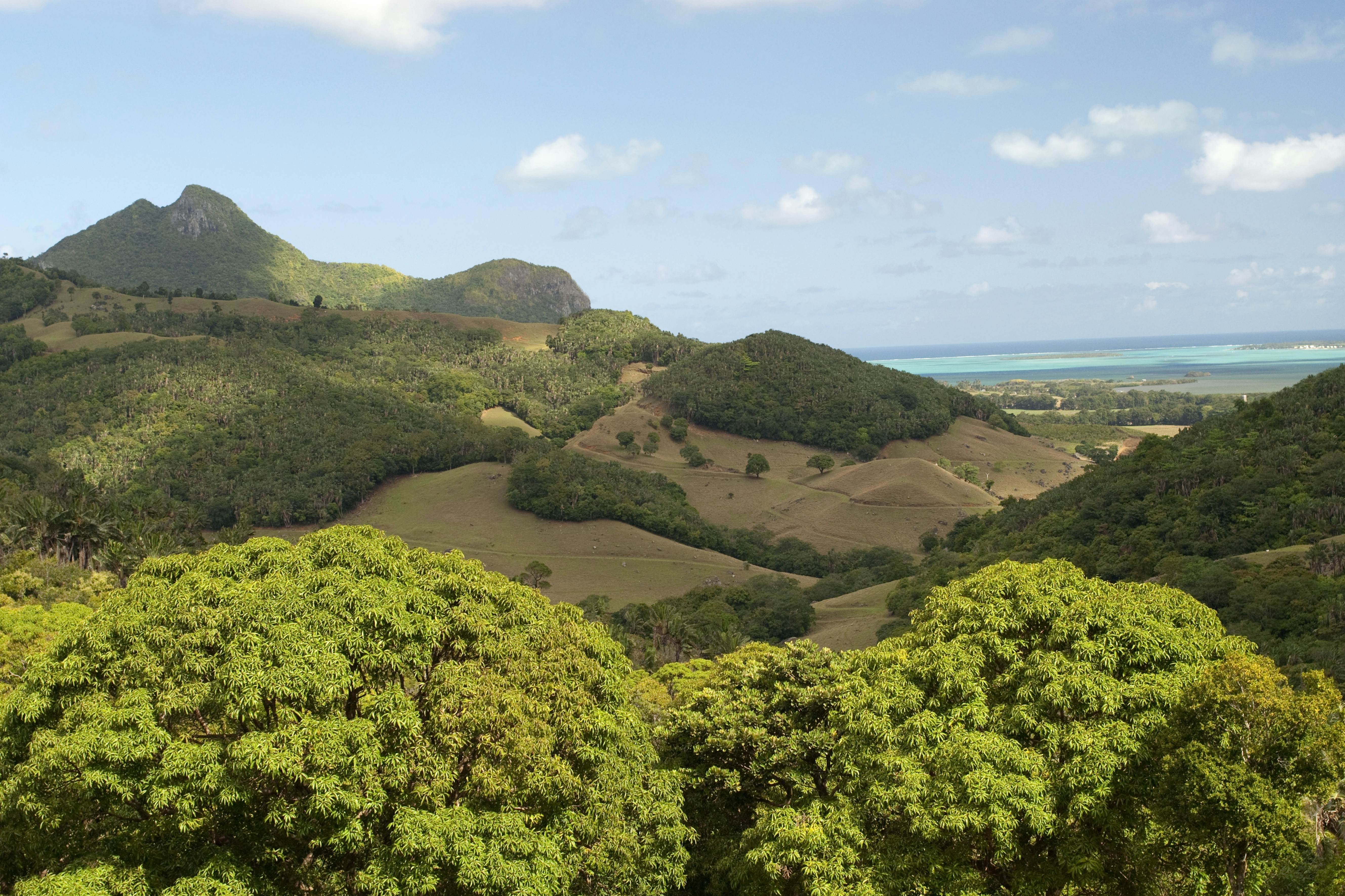 Mauritius, Anse JonchÃƒÂƒÃ‚Â©e, VallÃƒÂƒÃ‚Â©e de Ferney, landscape