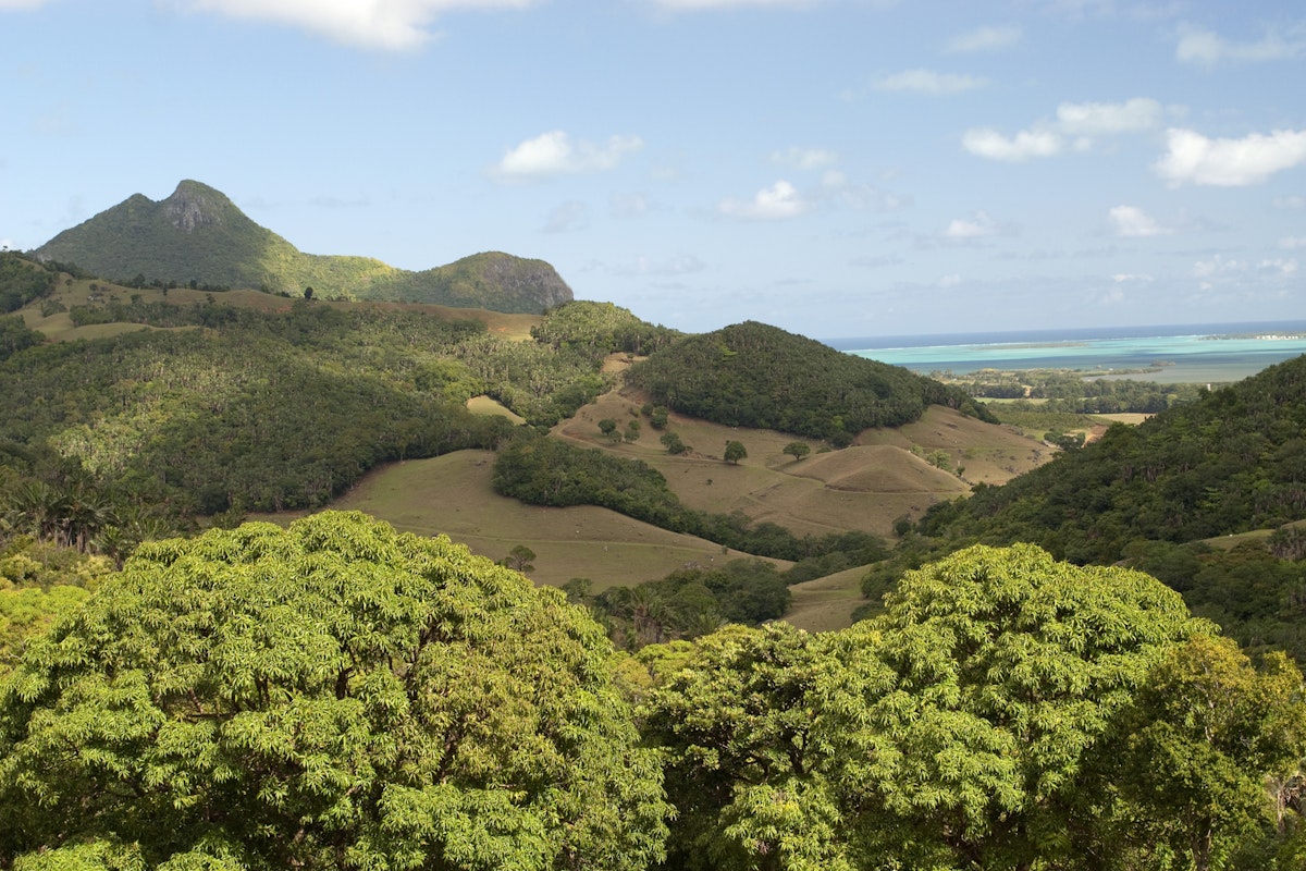 Mauritius, Anse JonchÃƒÂƒÃ‚Â©e, VallÃƒÂƒÃ‚Â©e de Ferney, landscape