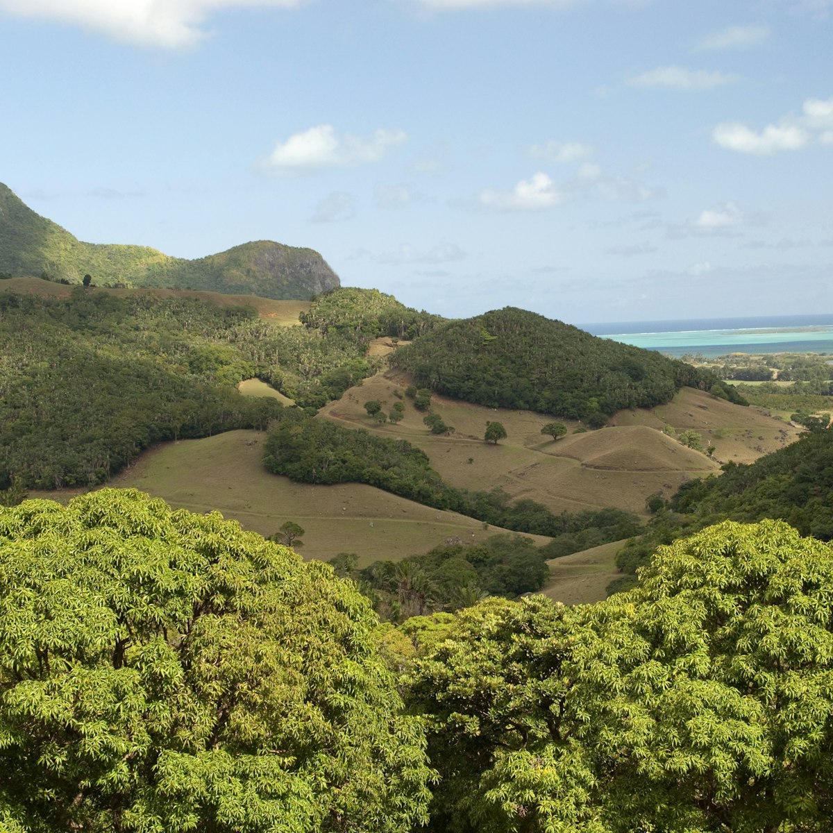 Mauritius, Anse JonchÃƒÂƒÃ‚Â©e, VallÃƒÂƒÃ‚Â©e de Ferney, landscape