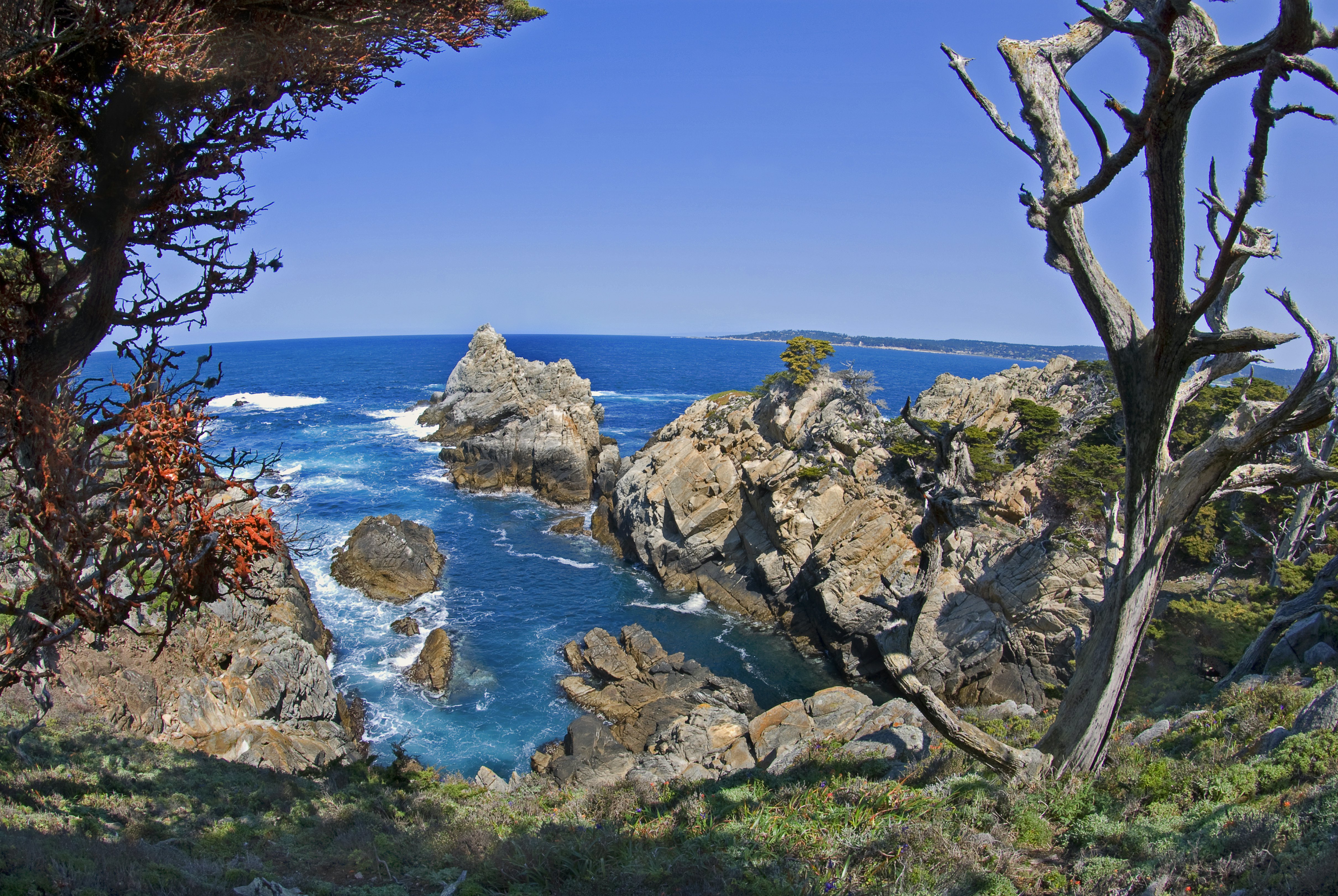 Point Lobos State Reserve near Carmel, CA