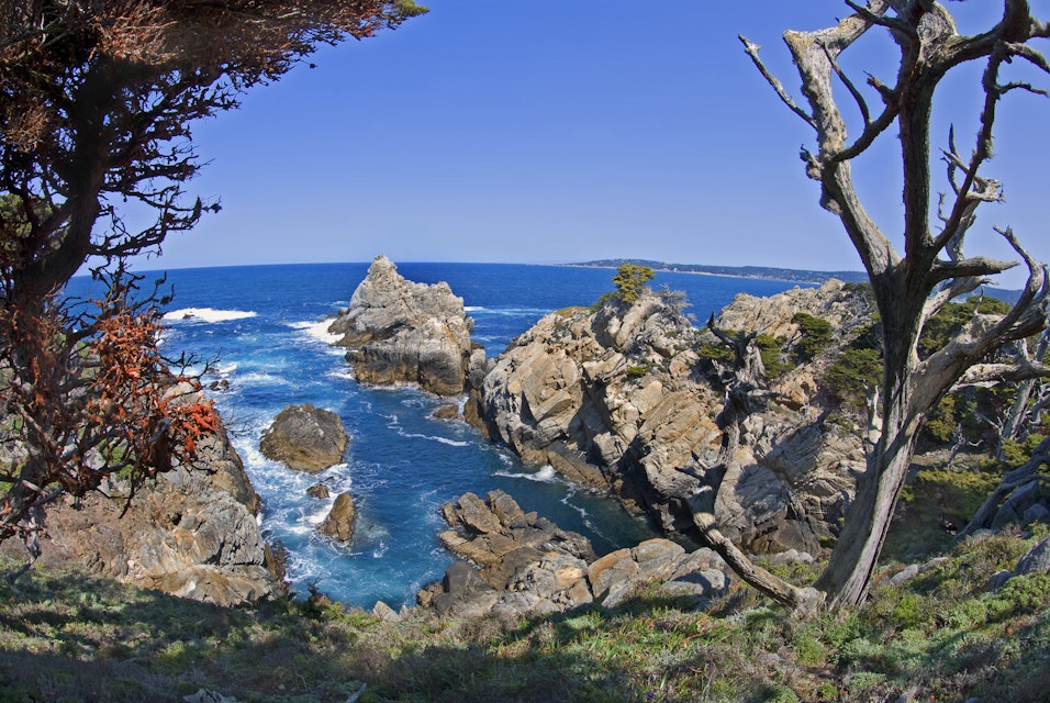 Point Lobos State Reserve near Carmel, CA