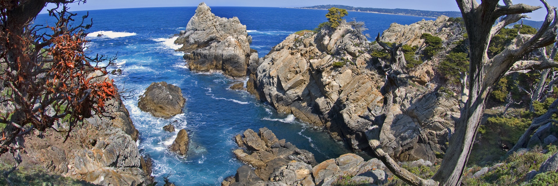 Point Lobos State Reserve near Carmel, CA