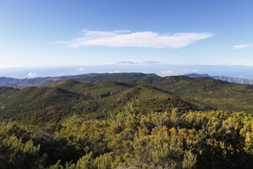 Wooded hills in the Garajonay National Park, view from Garajonay mountain, highest peak of La Gomera island, La Palma island at the back, Gomera island, Canary Islands, Spain, Europe