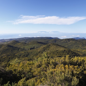 Wooded hills in the Garajonay National Park, view from Garajonay mountain, highest peak of La Gomera island, La Palma island at the back, Gomera island, Canary Islands, Spain, Europe