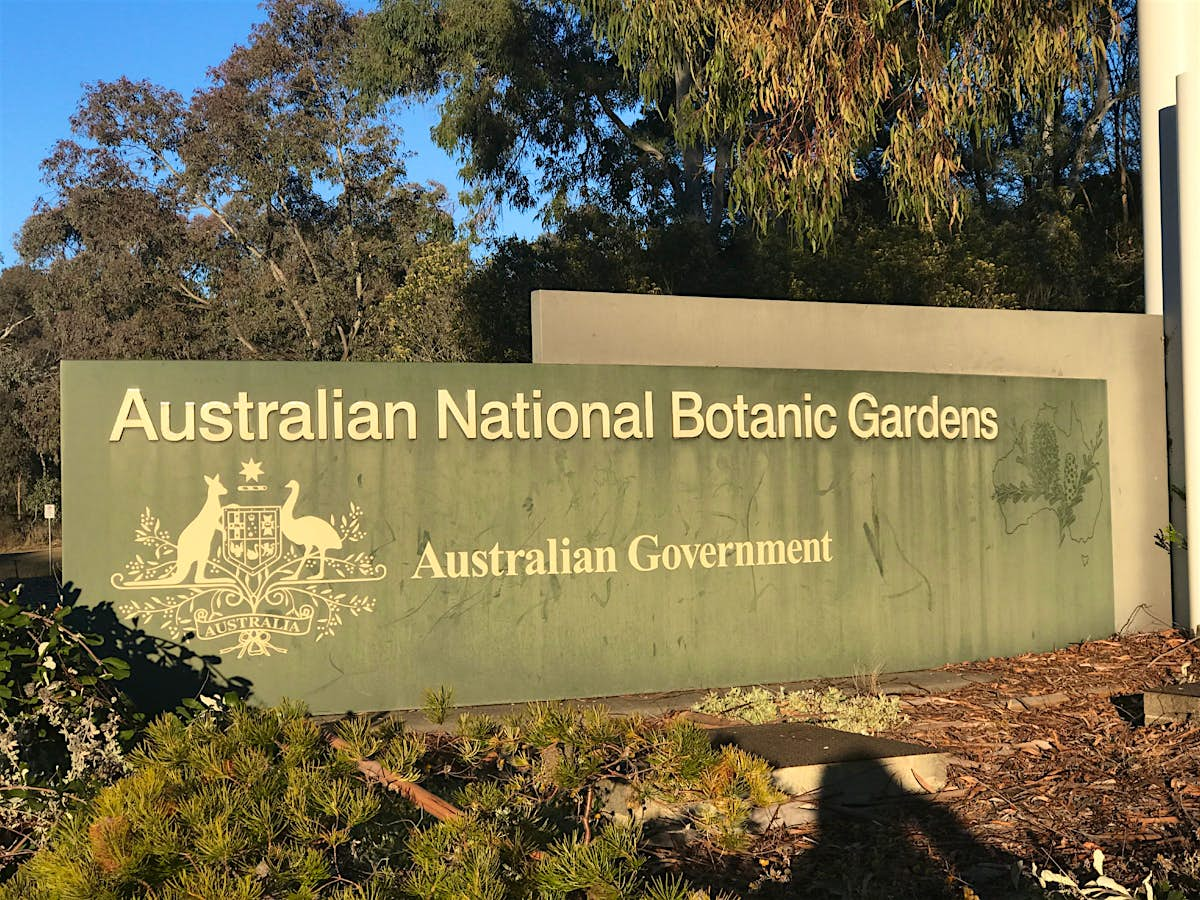 Australian National Botanic Gardens Canberra Australia Attractions Lonely Planet