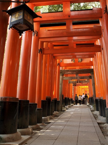 Red torii (shrine gates) at Fushimi-Inari Taisha shrine.