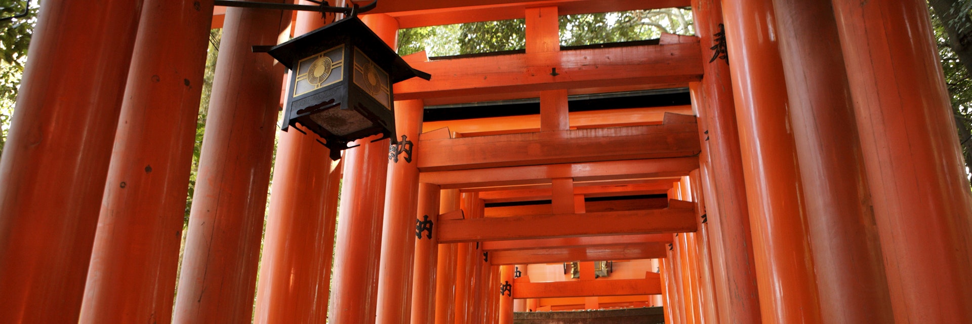 Red torii (shrine gates) at Fushimi-Inari Taisha shrine.