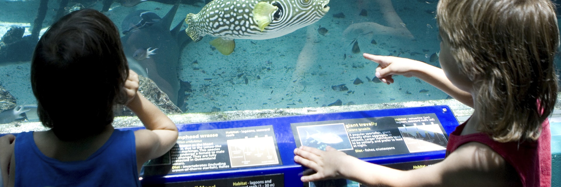 Two girls looking at fishes at the Reef HQ aquarium, Townsville, Queensland, Australia