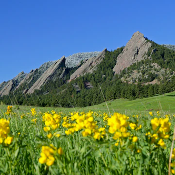Green Mountain and the Flatirons as seen from Chautauqua Park in Boulder, Colorado.
