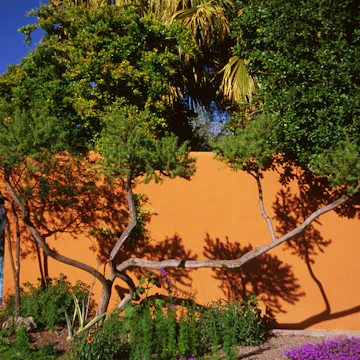 New Mexico, La Mesilla, . (Photo by Education Images/UIG via Getty Images)