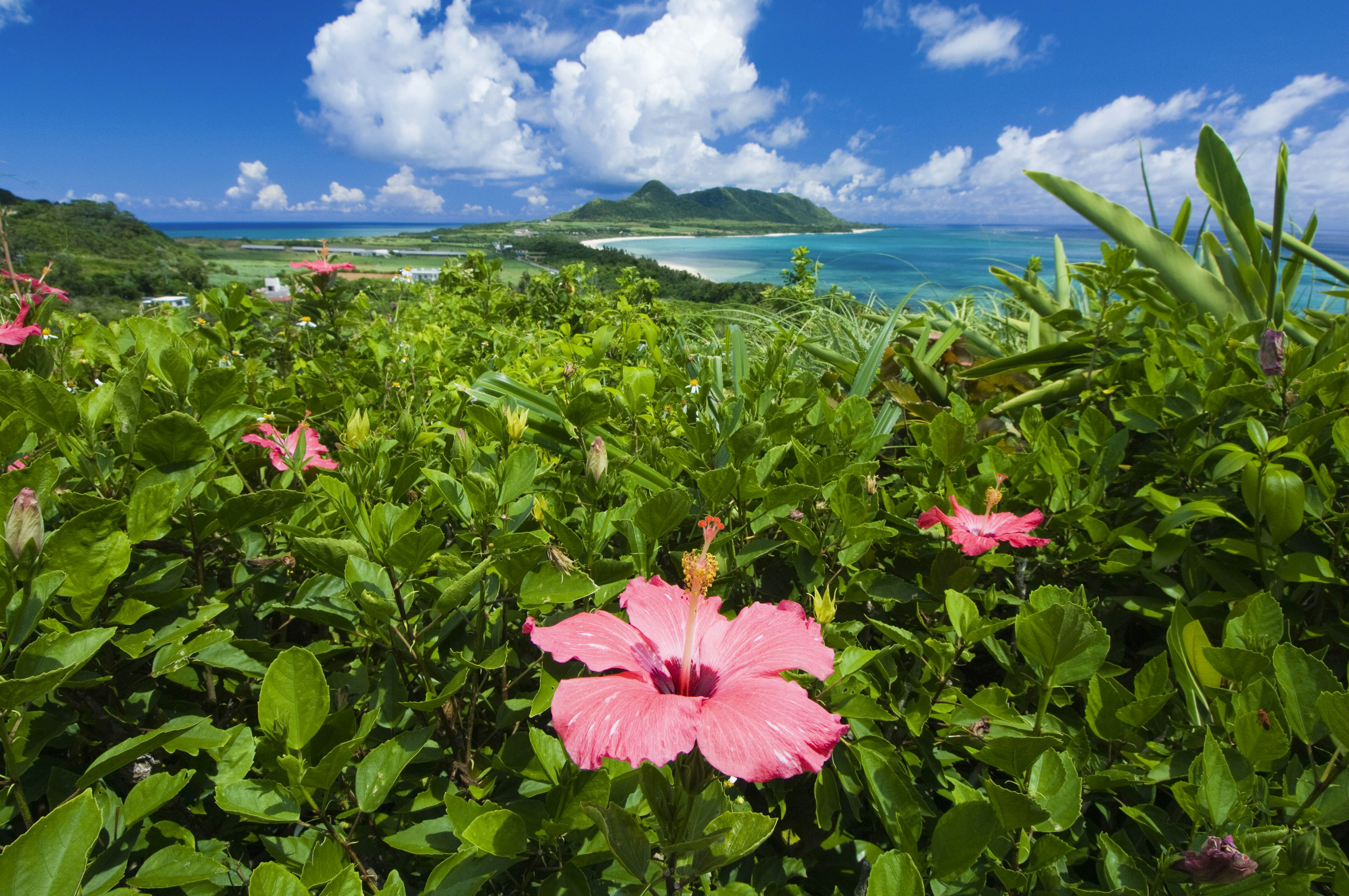 Ishigakijima travel Okinawa & the Southwest Islands, Japan Lonely
