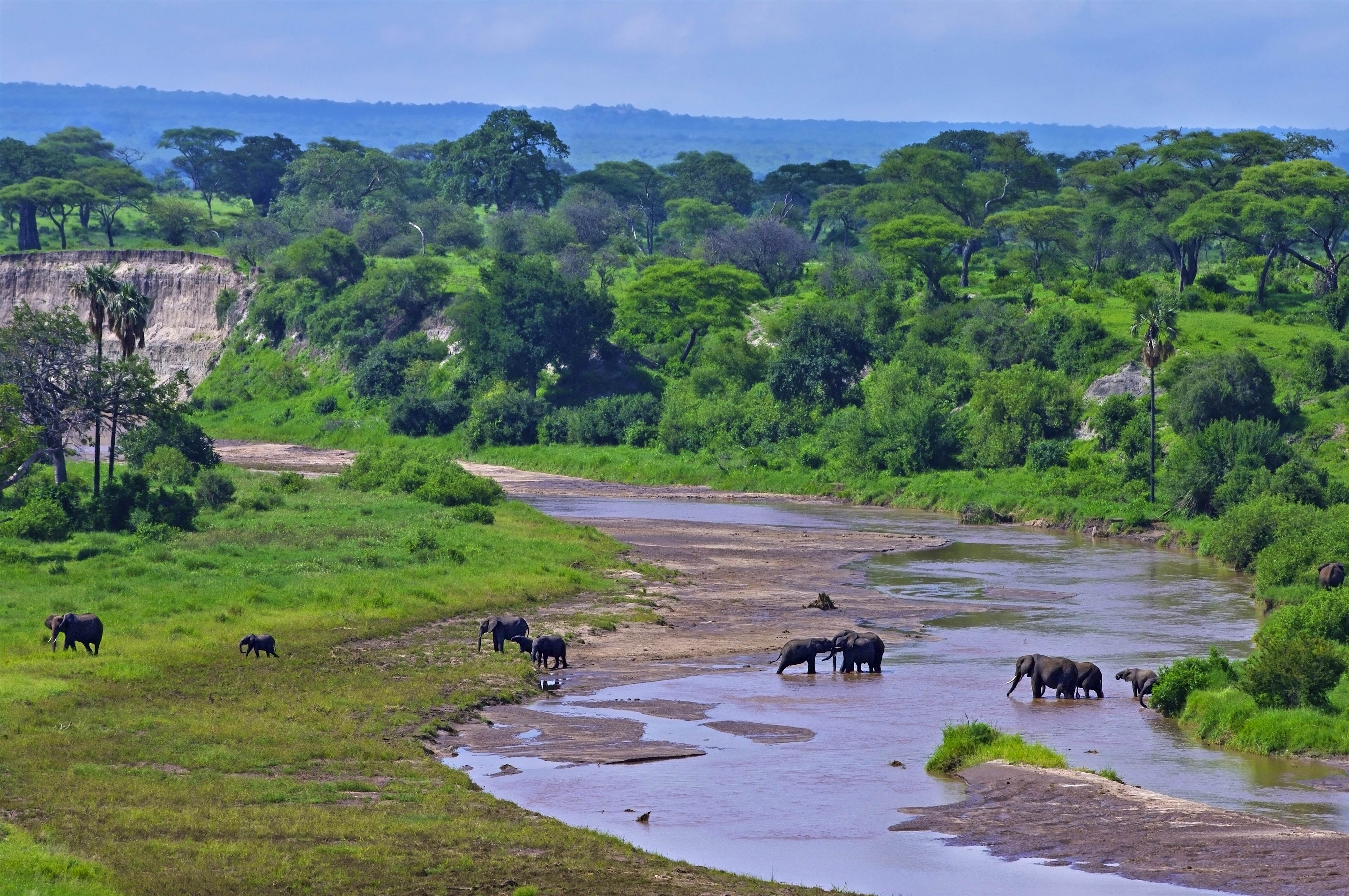Tarangire National Park Travel Northern Tanzania Tanzania Lonely