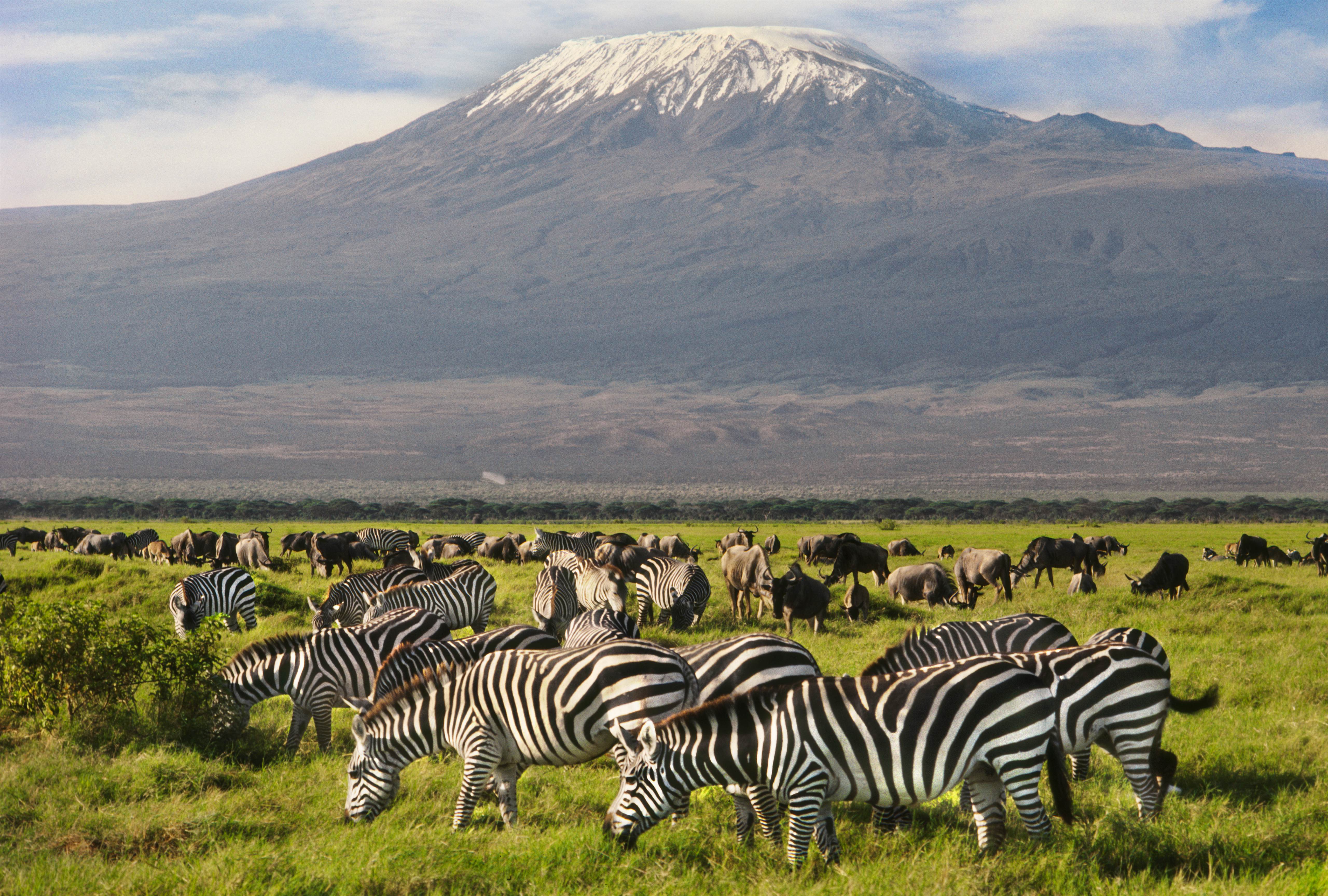 Sunset over Amboseli with Kilimanjaro