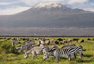 Embark On A Wild Adventure Discover Kenya Safari s Best Kept Secrets Embark On A Wild Adventure Discover Kenya Safari s Best Kept Secrets