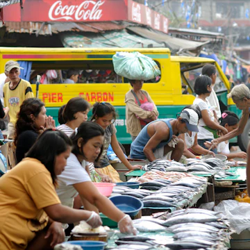 Carbon market fish stalls in downtown.