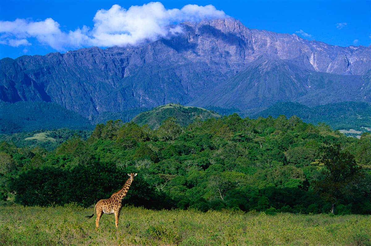 Arusha National Park travel | Northern Tanzania, Tanzania - Lonely Planet