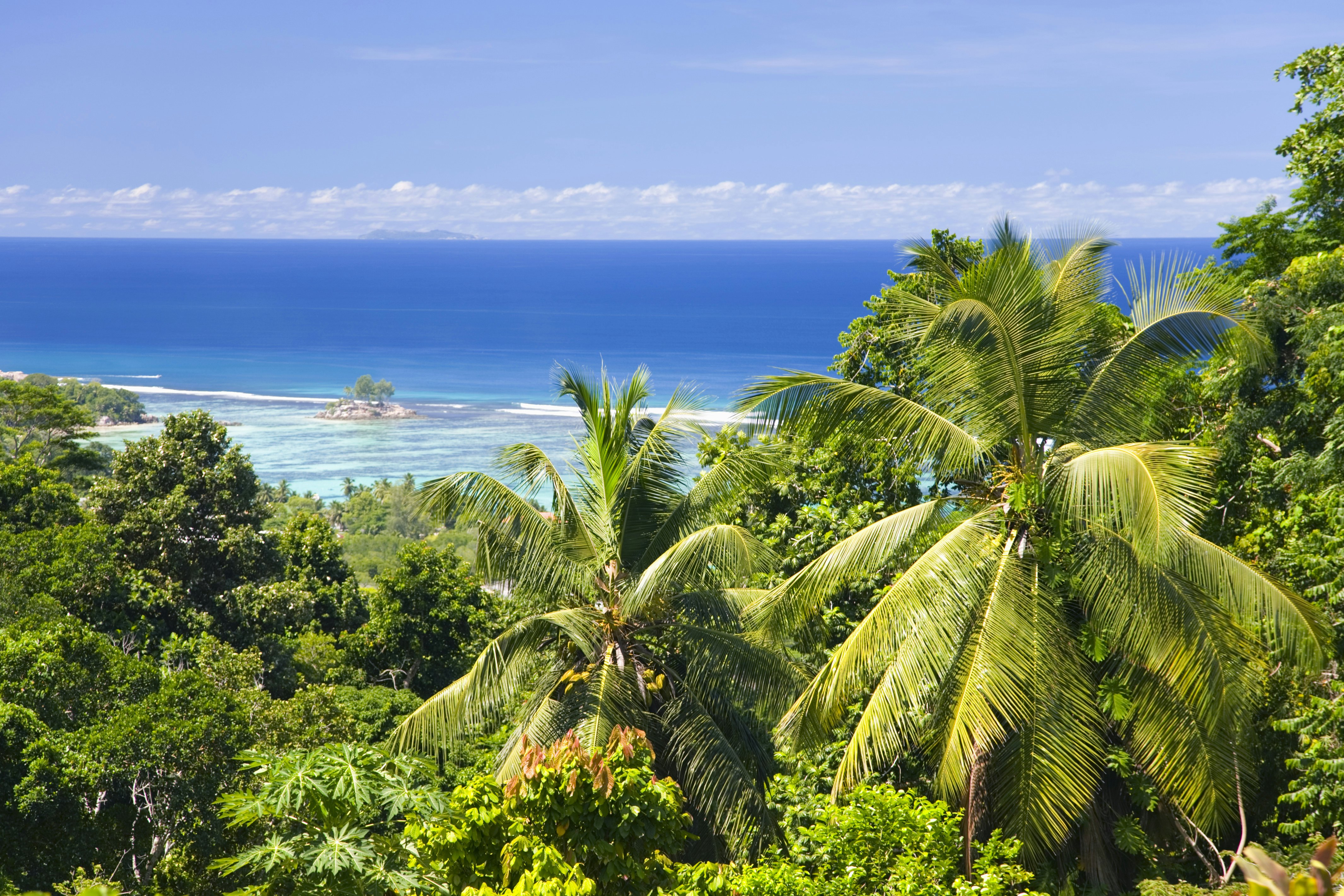 Coast from the Jardin du Roi spice garden above Anse Royale.