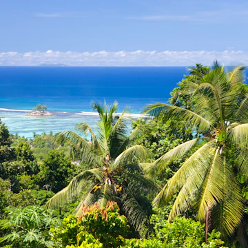 Coast from the Jardin du Roi spice garden above Anse Royale.