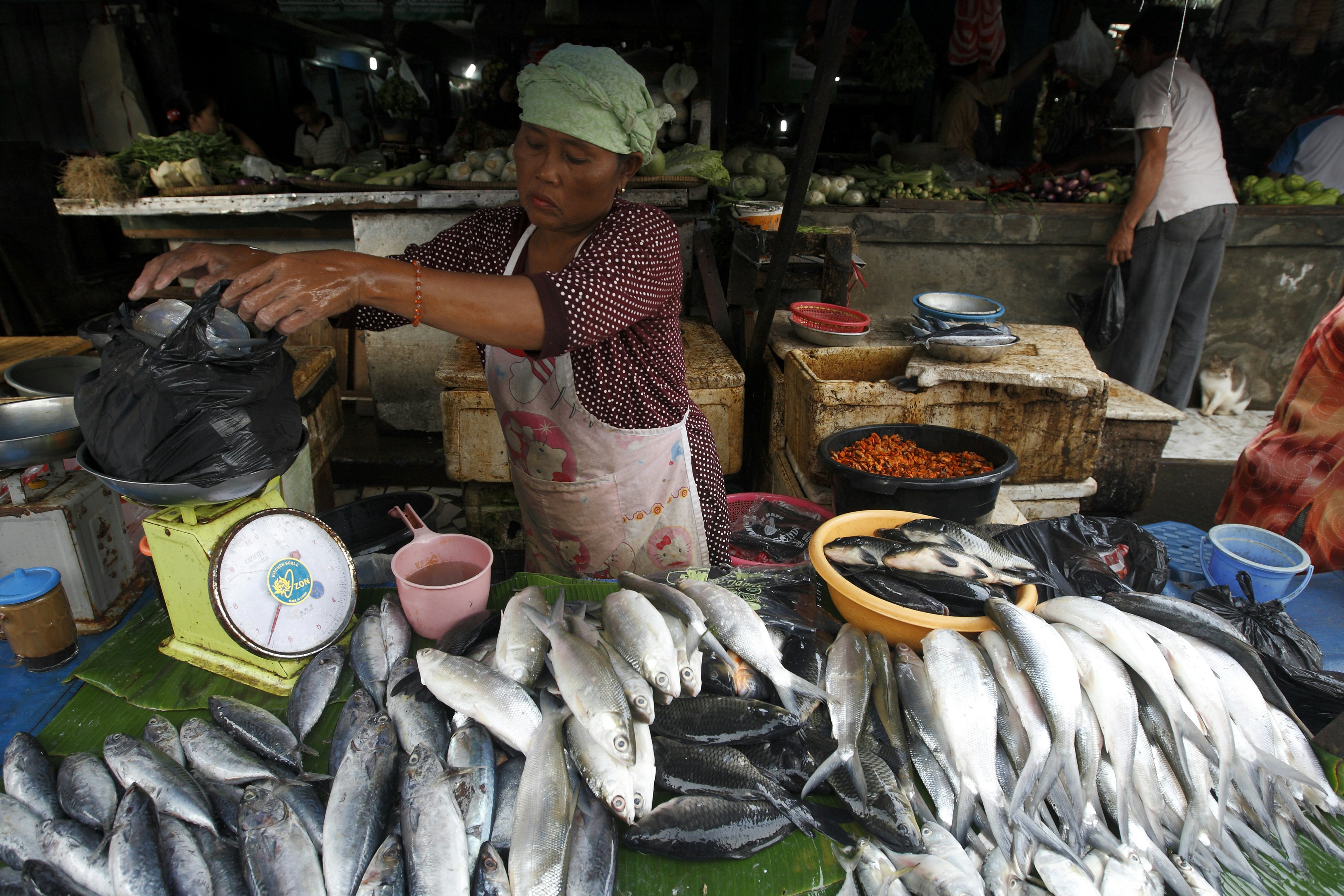 Vendor selling fish at Pasar Ikan fish market, Sunda Kelapa.