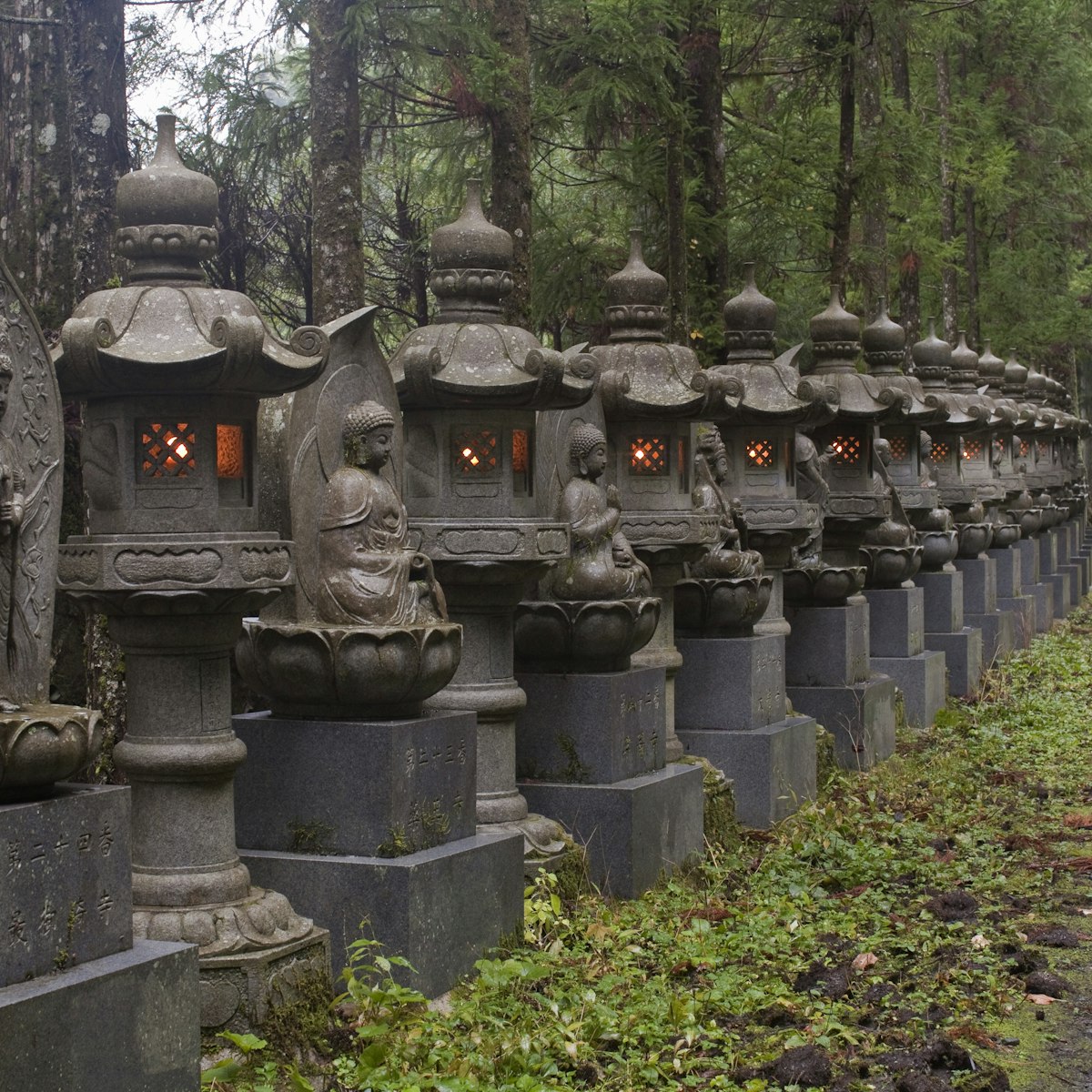 Row of stone lanterns at Oku-no-in cemetery.
