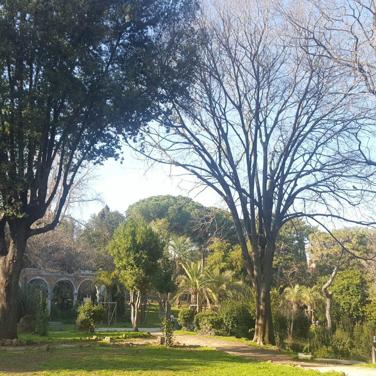 Villa Sciarra, park inside