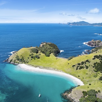 Arial view of Waewaetorea Island.