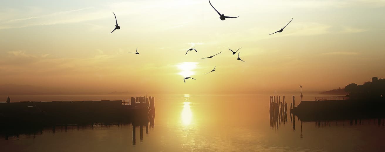 Lago Trasimeno Travel Umbria Italy Europe Lonely Planet