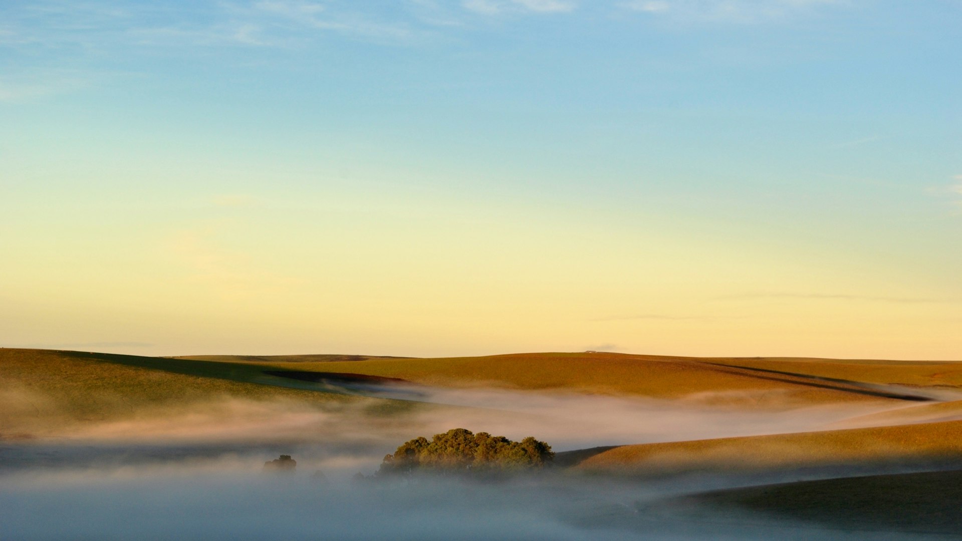A yellow-blue sky over early-morning fog on the rolling hills of the Nyika Plateau