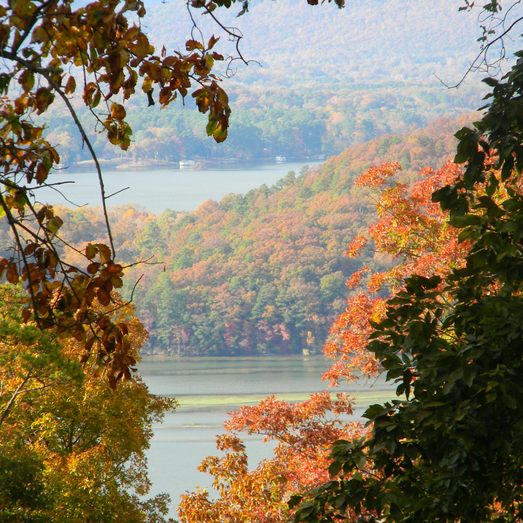 Fall at Guntersville lake in Alabama.