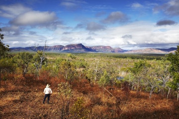 A drover looking out onto the Mount Mulligan mountain range, Queesnsland Australia- Perfect Trip