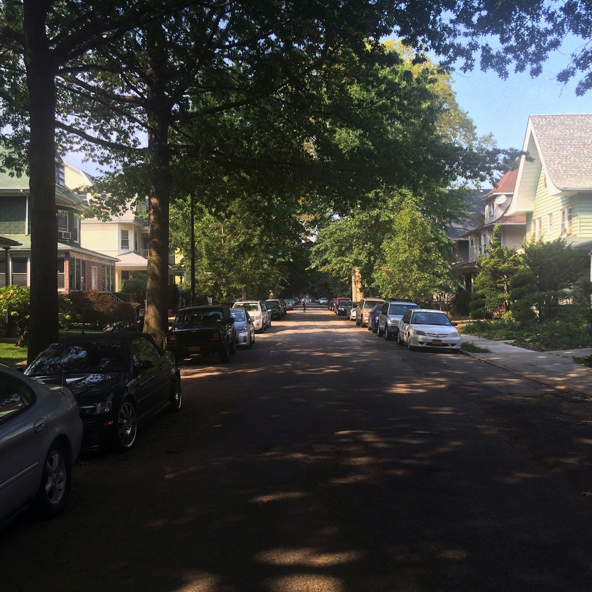A view down the street in Ditmas Park.