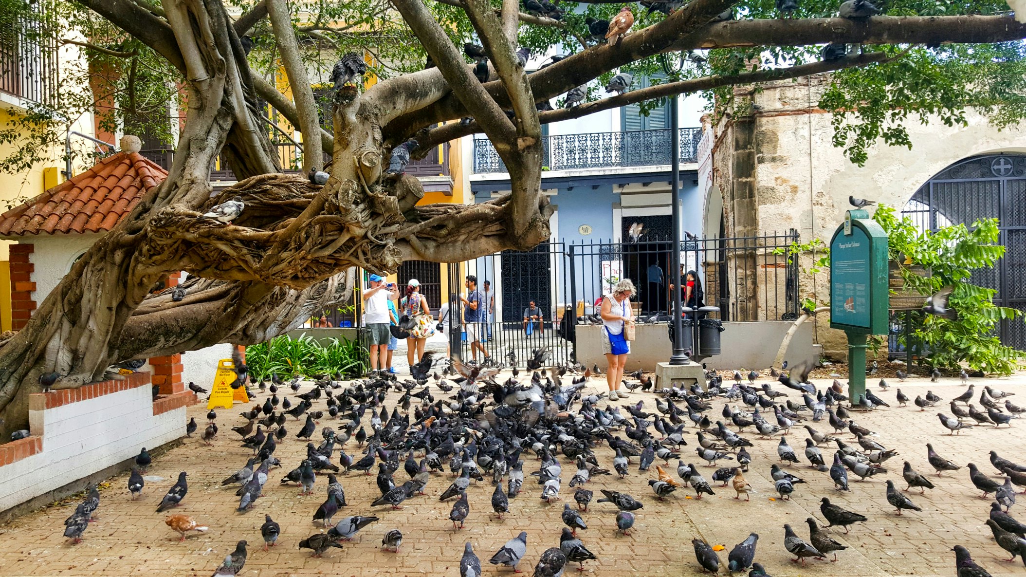 Entrance to Parque de las Palomas.