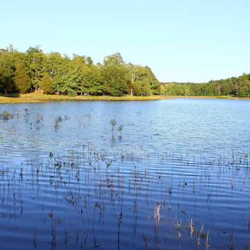 Haynes Lake at Tishomingo State Park in northern Mississippi; Shutterstock ID 59818921; Your name (First / Last): Lauren Keith; GL account no.: 65050; Netsuite department name: Content Asset; Full Product or Project name including edition: Guides Project Eastern USA