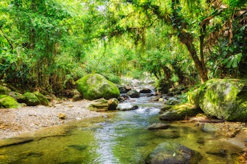 Photo of a river in the green jungle found along the way of the 4 day trek to Ciudad Perdida, Sierra Nevada de Santa Marta Mountains, Colombia, South America.