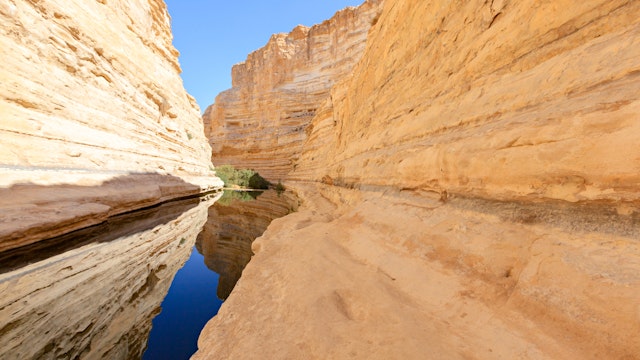 En Avdat is a oasis in a spectacular canyon in the desert Negev,  Israel