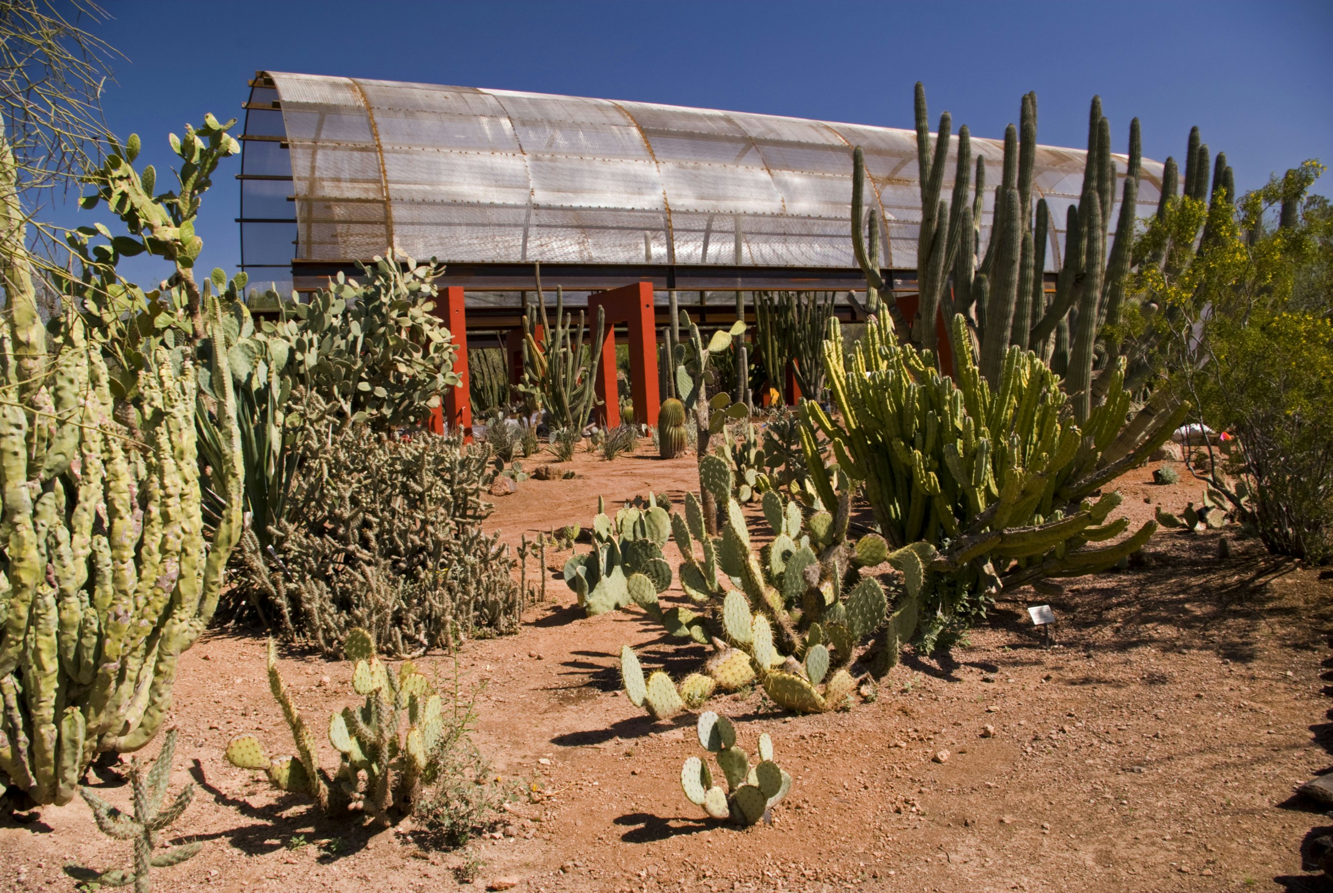 Desert Botanical Gardens, Phoenix, Arizona