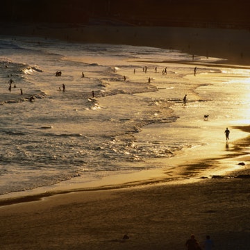 The setting sun illuminates surfers and swimmers on Bondi Beach.