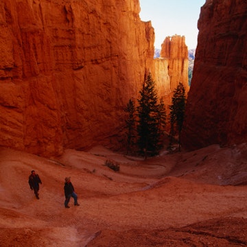 Walking the Bryce Canyon Trail.