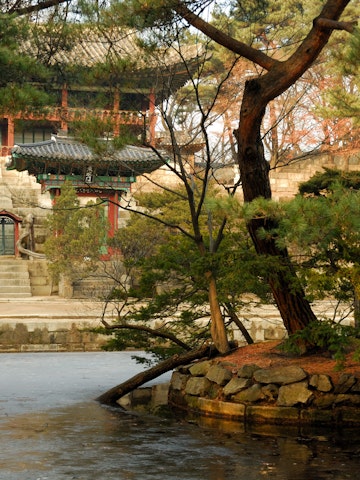 Biwon Garden at Changdeokgung, Gwanghwamun.