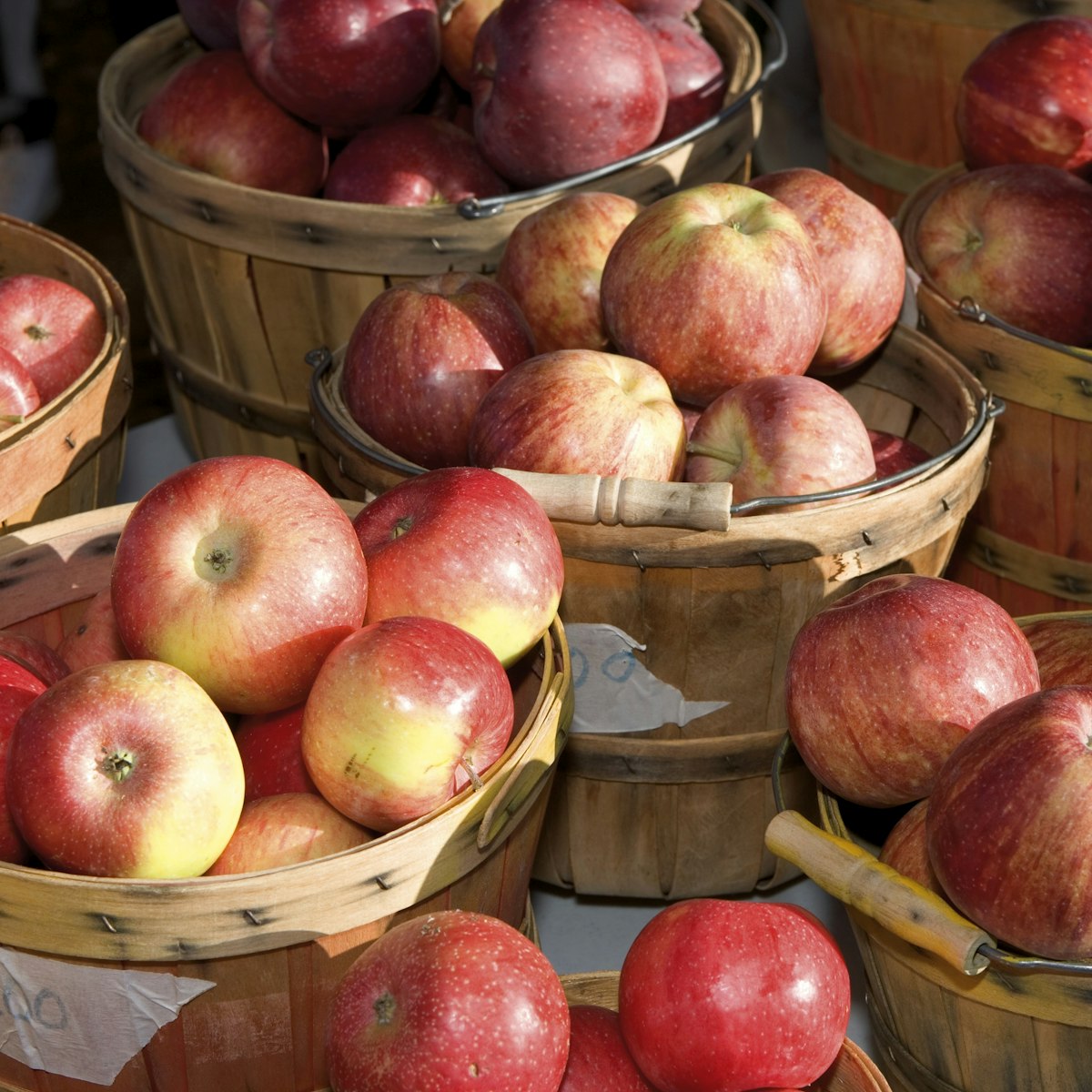 USA, New Mexico, Santa Fe, Farmer's Market, baskets of apples for sale at farmers' market