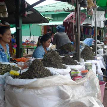 Tea sellers at the central market in Kyaingtong