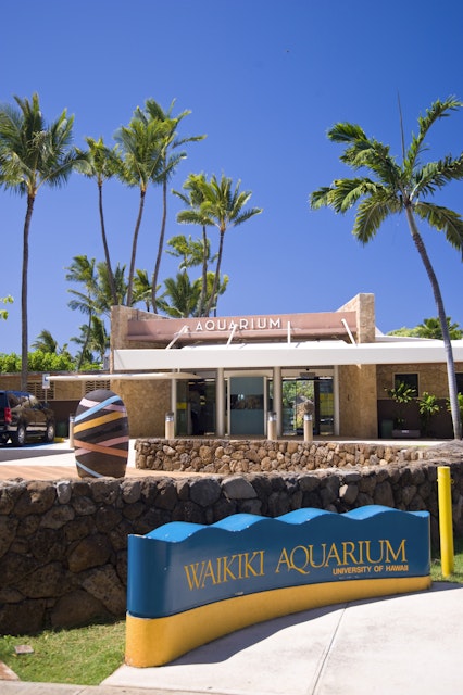 Waikiki Aquarium in Kapiolani Park.