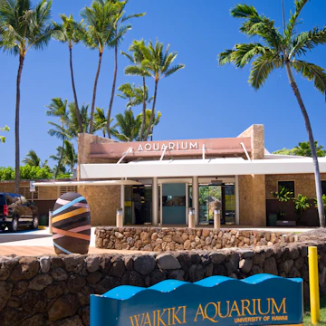 Waikiki Aquarium in Kapiolani Park.