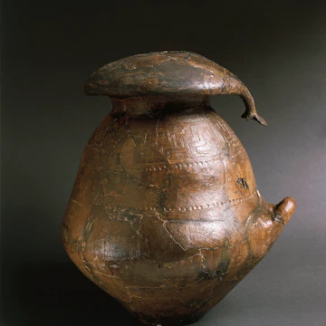 Italy, Emilia Romagna region, Mushroom shaped cinerary urn from San Vitale necropolis