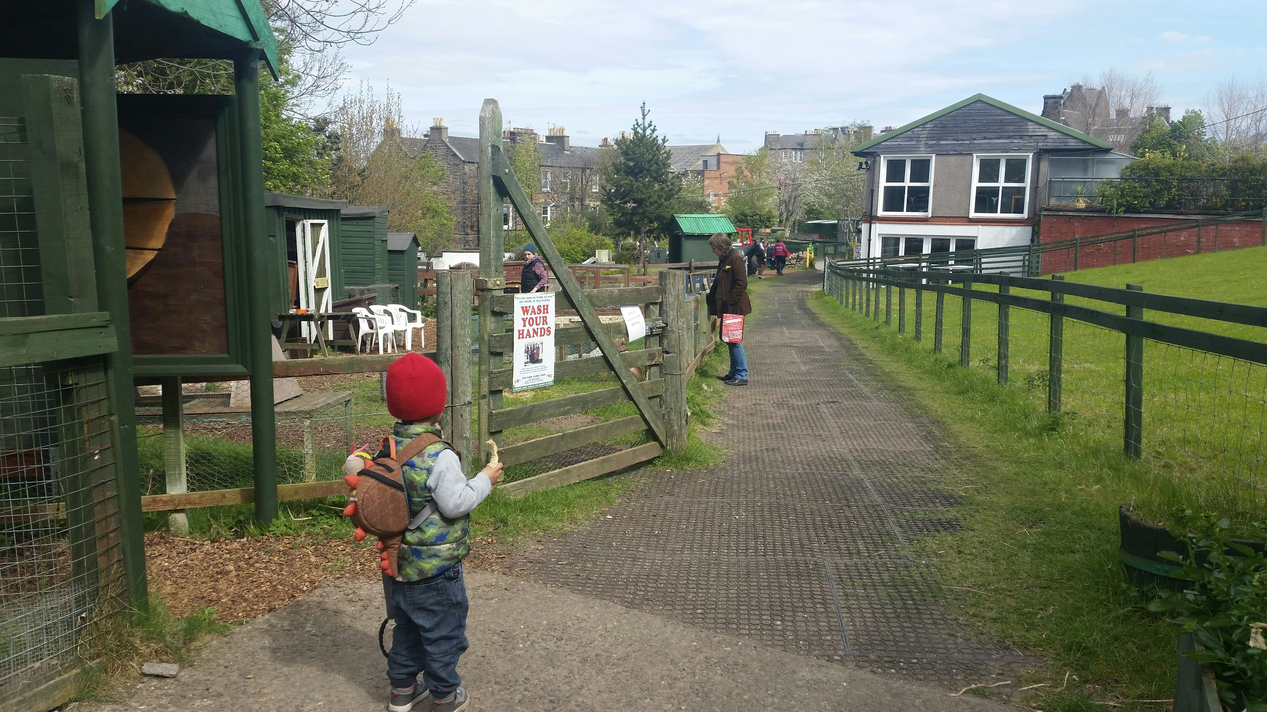 Gorgie City Farm