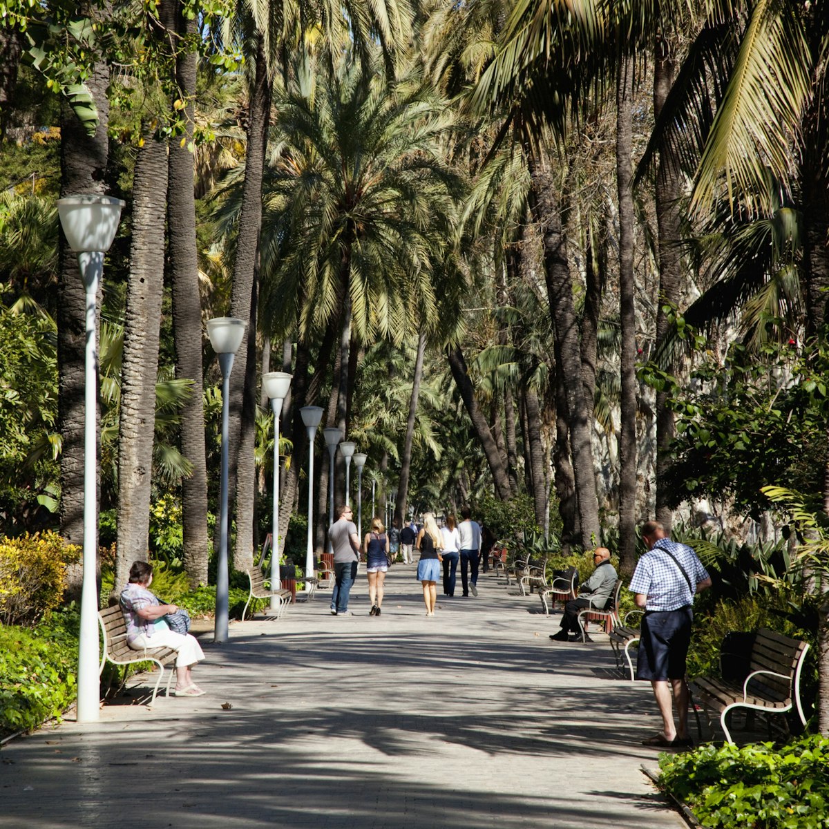 Pedestrians Walking Down A Path Lined With Palm Trees