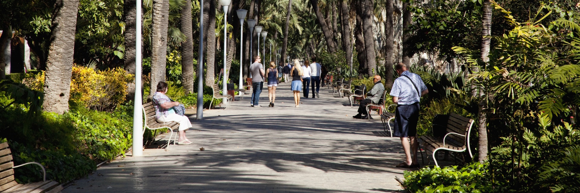 Pedestrians Walking Down A Path Lined With Palm Trees