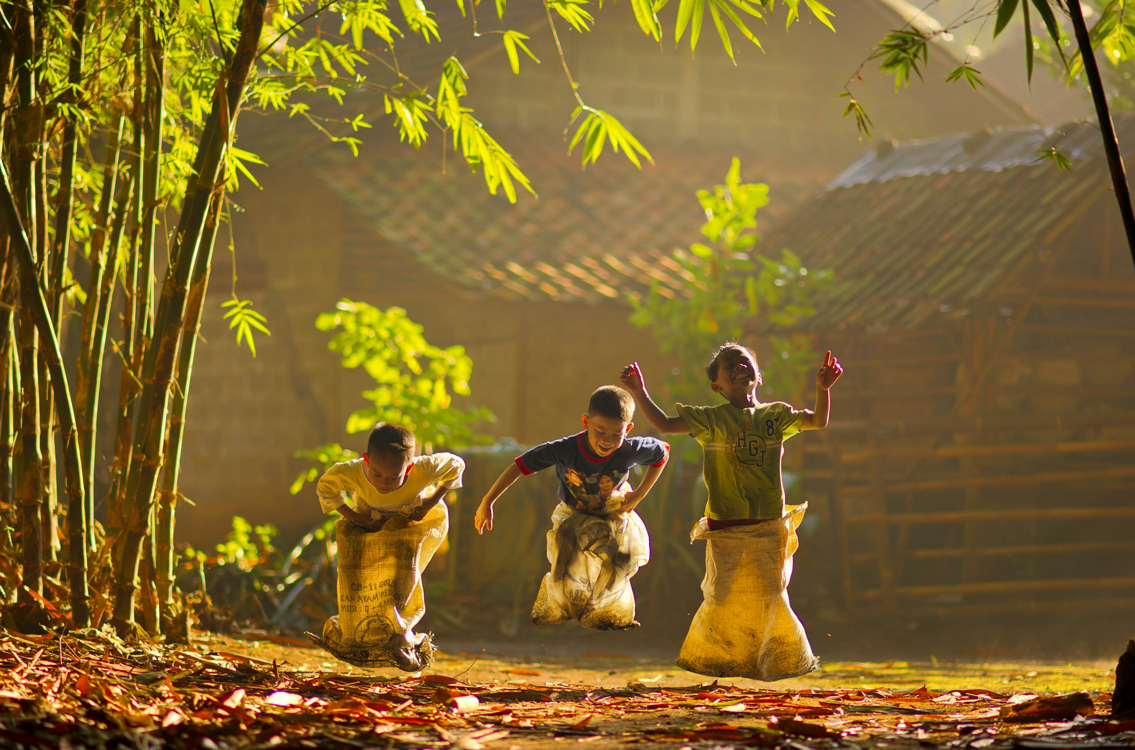 Java is the heart of Indonesia