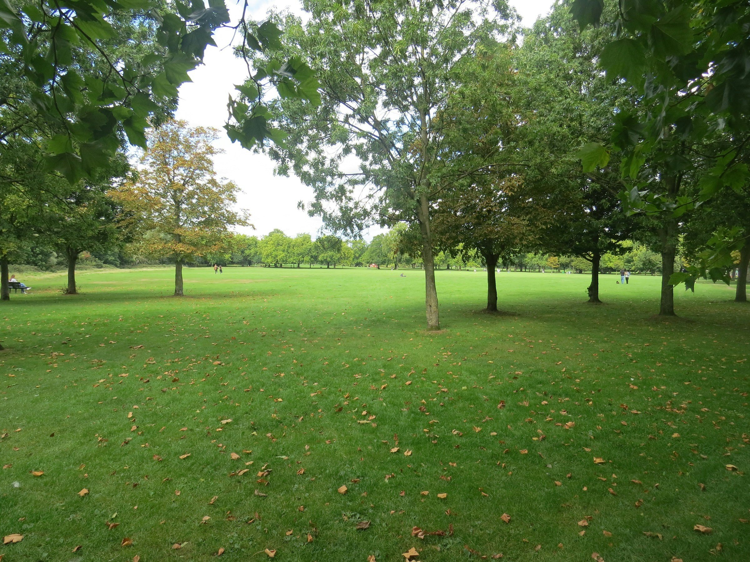 Looking across Wandsworth Common in south London