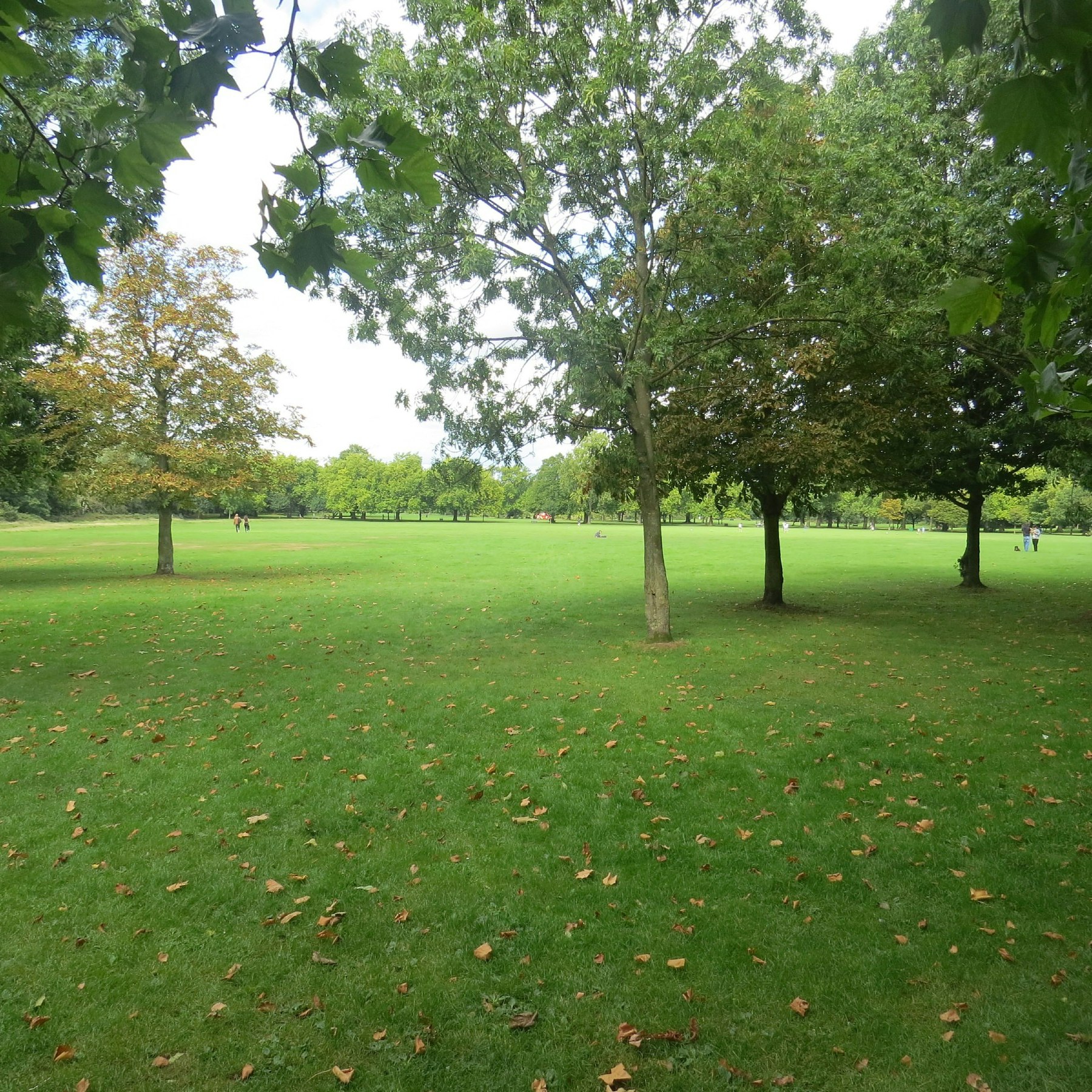 Looking across Wandsworth Common in south London